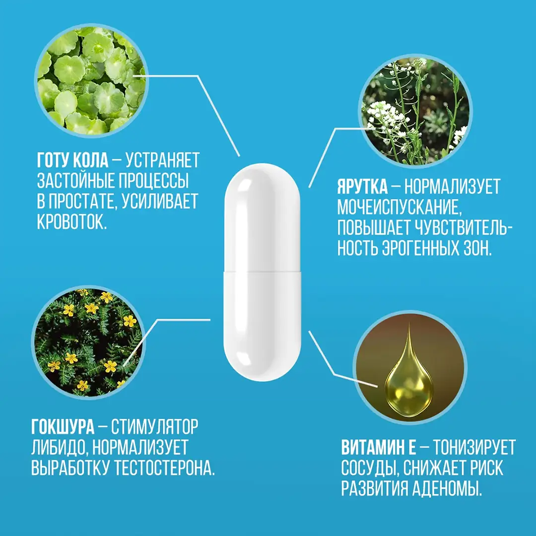 Крупный план белой капсулы рядом с изображениями Готу Кола, Ярутка, Гокшура и Витамин E, подчеркивающими ингредиенты, входящие в состав Аденофрина