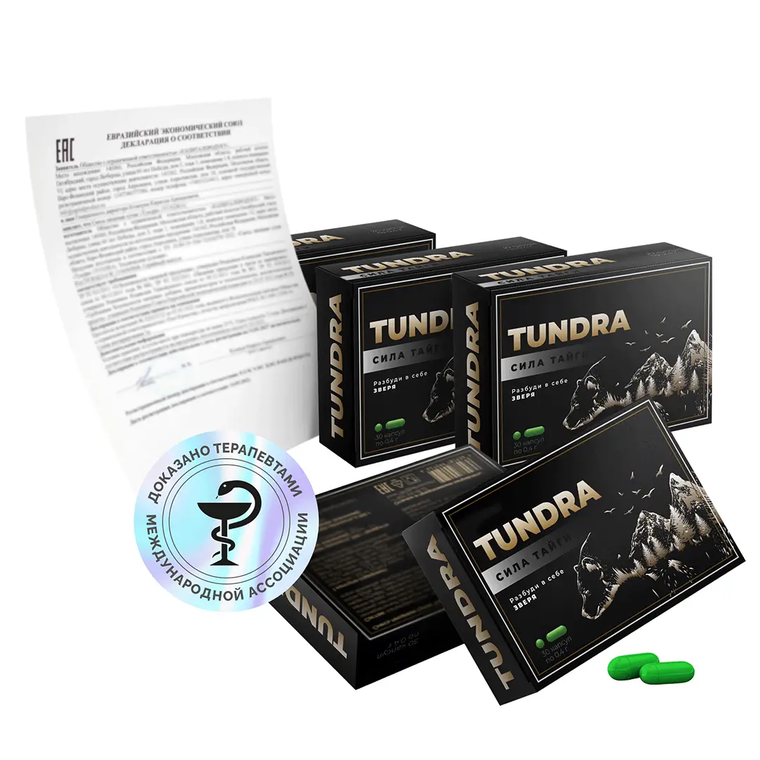 Несколько упаковок капсул Тундра («Сила Тайги») чёрного цвета, справа внизу две зелёные капсулы, на заднем плане развёрнутый декларационный документ Евразийского экономического союза и голографический знак «Доказано терапевтами международной ассоциации».