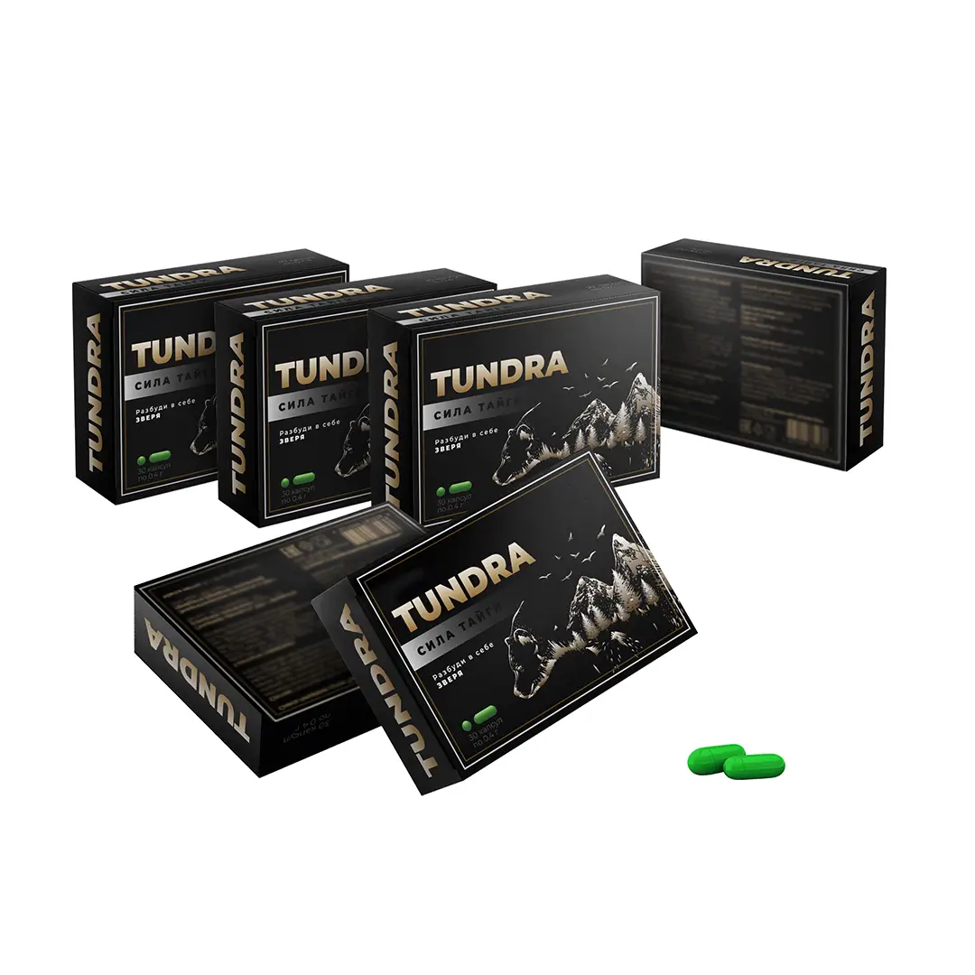 Тундра — изображение 5