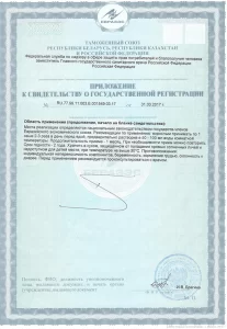 Прилжоение к свидетельству о государственной регистрации ДжуДжу Сэйсэ